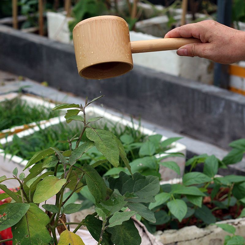 Bamboo Water Scooping Ladle with Handle – Garden & Household Dipper